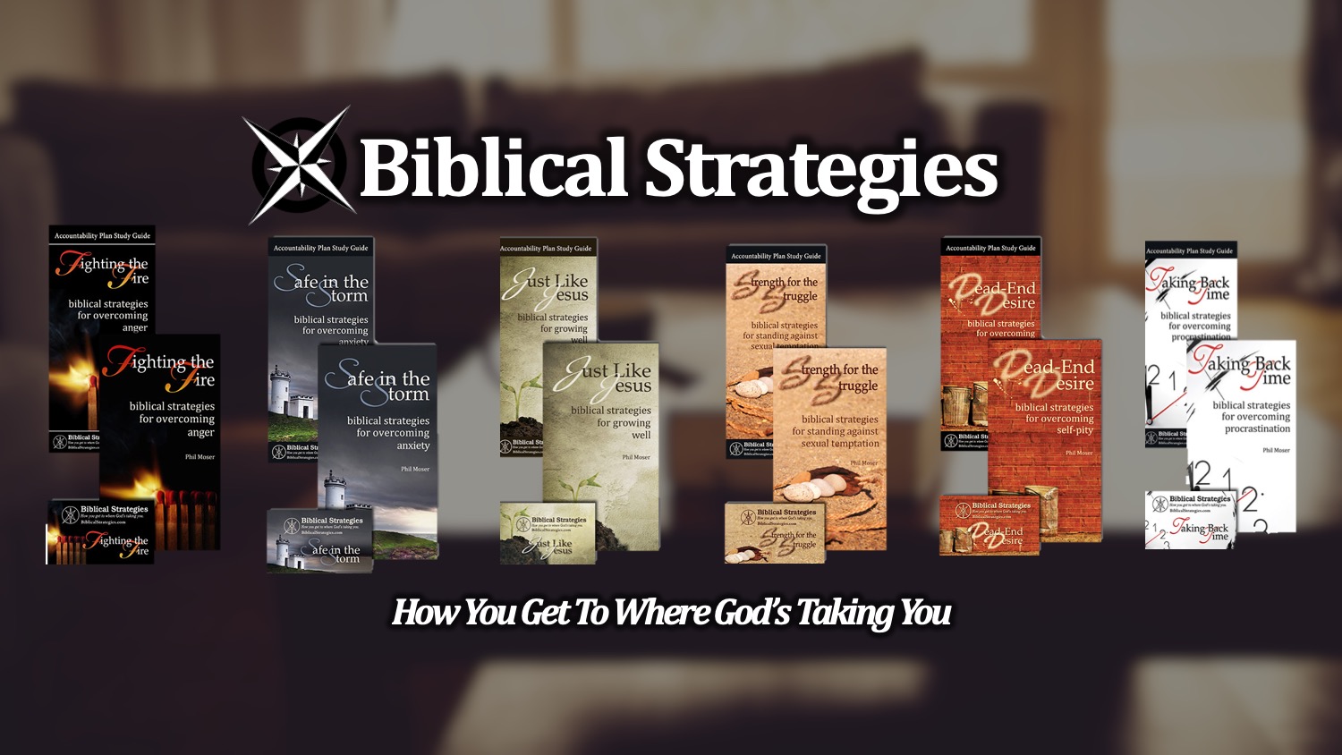 http://biblicalstrategies.com/store/