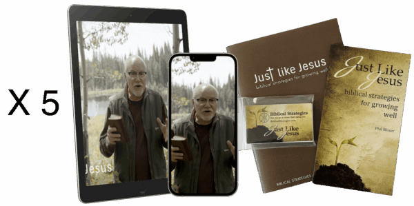 Just Like Jesus Small Group Five Pack Study Set