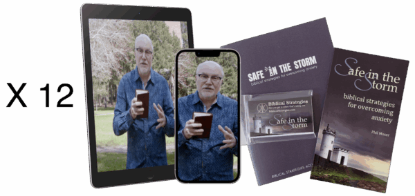 Small Group Video Twelve-Pack Study Set